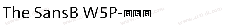 The SansB W5P字体转换